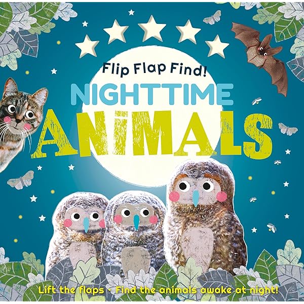 Amazon.com: Touch and Explore: Animals at Night: 9782408015985